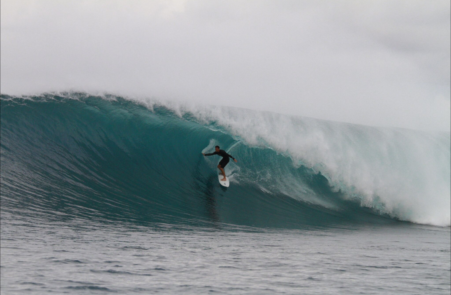 Orca Laut  Mentawai Islands Sumatra Indonesia Indo  