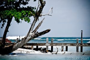 Atoll Travel Kandui Villas Kandui Resort Indonesia Mentawai Indo Surf Trip